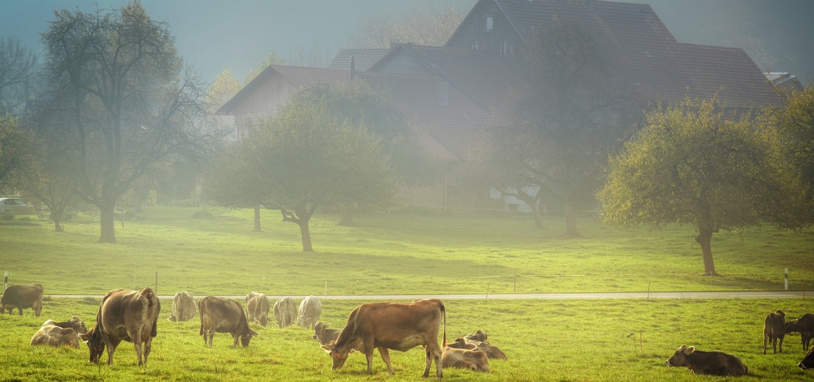 Hofübernahme wurde endlich erleichtert