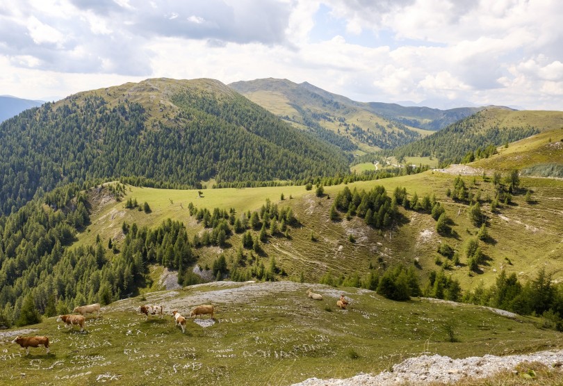 Neuerliche Erhöhung der Stromnetzkosten in Kärnten ist ein Skandal!