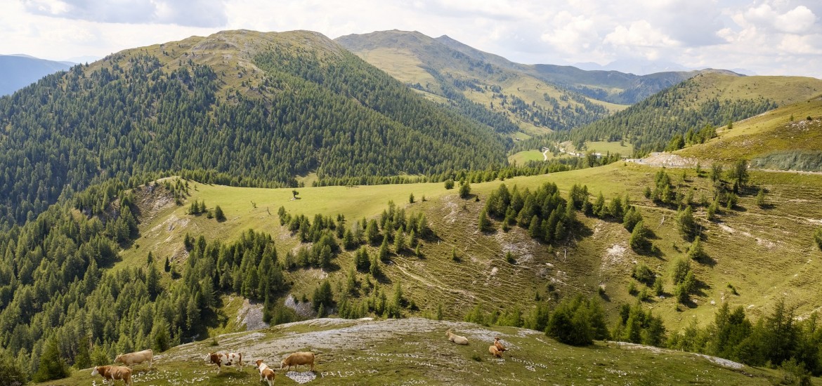 Neuerliche Erhöhung der Stromnetzkosten in Kärnten ist ein Skandal!