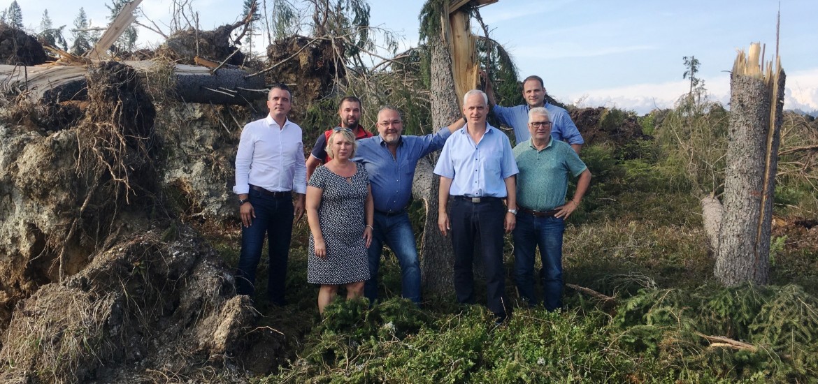 Rasche Hilfe für von Sturmschäden betroffene Bauern und Waldbesitzer notwendig!