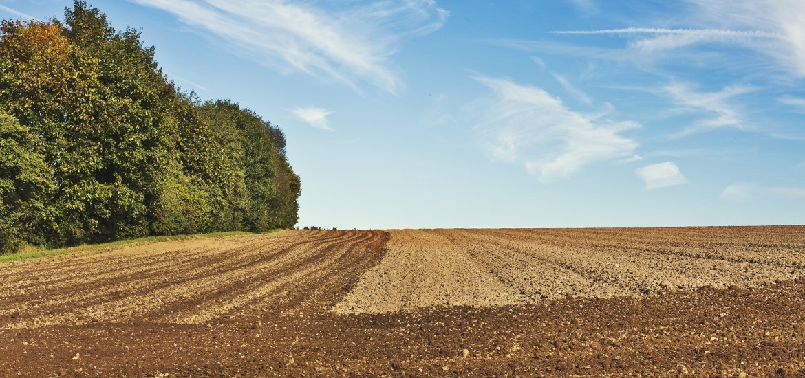 Eine stabile Finanzierung im landwirtschaftlichen Bereich ist wichtig