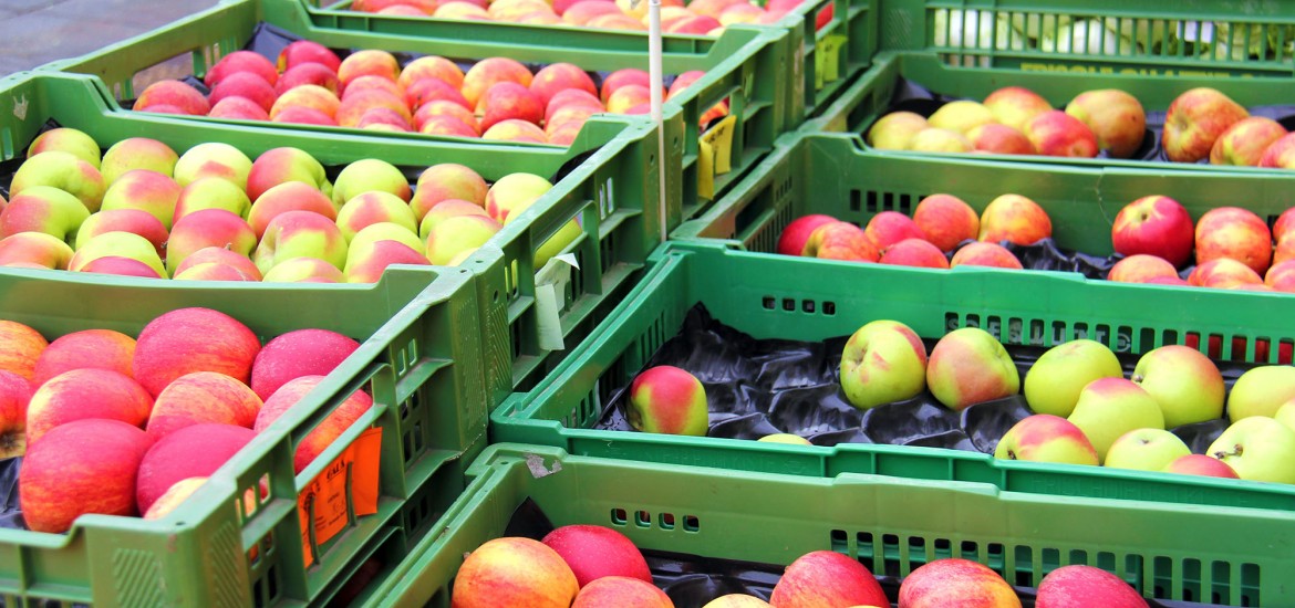 Korrekte Landwirtschaftskammerwahl kann in Kärnten nicht garantiert werden!